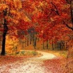 équinoxe automne et méditation