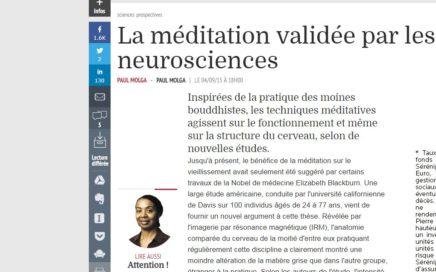 Les echos neurosciences