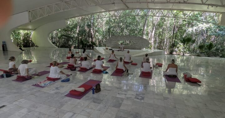Sadhana 15 novembre 2025